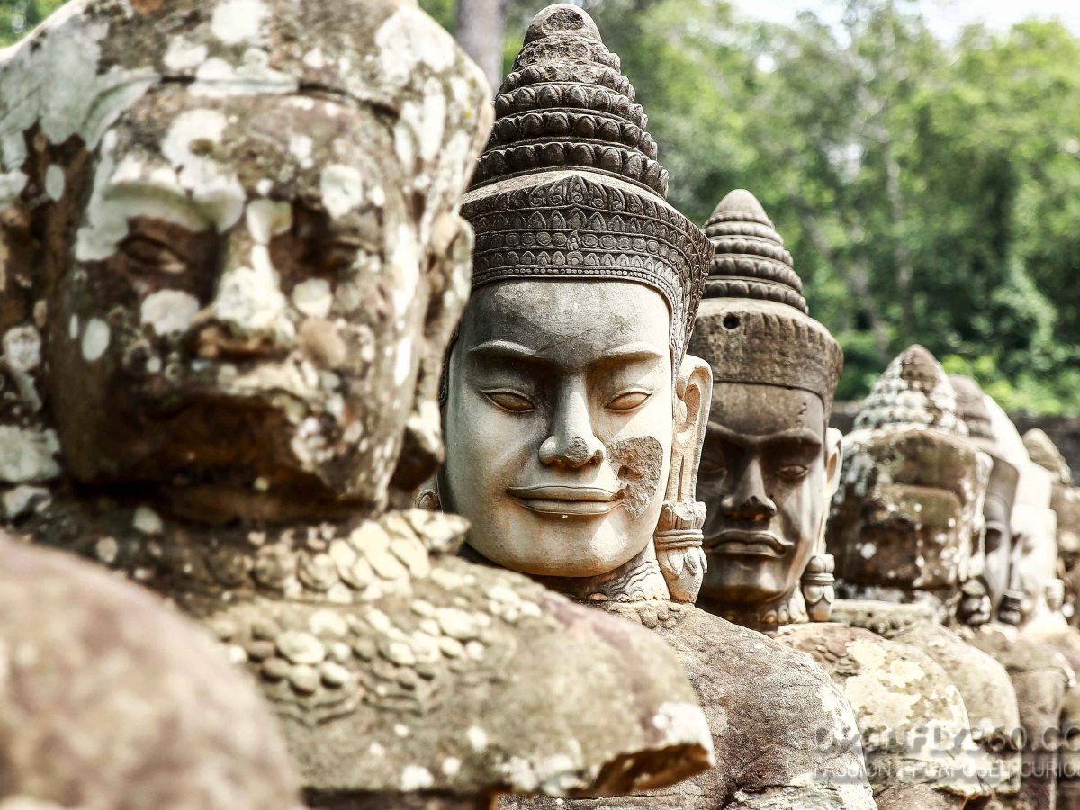 Visiting | The Giants and Flight of the&nbsp;Gibbon